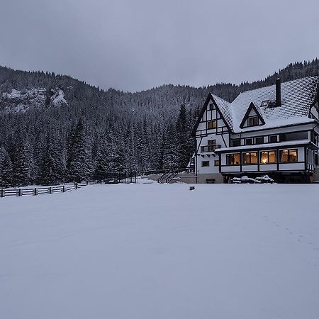 Chalet Alpina Moroeni Kültér fotó