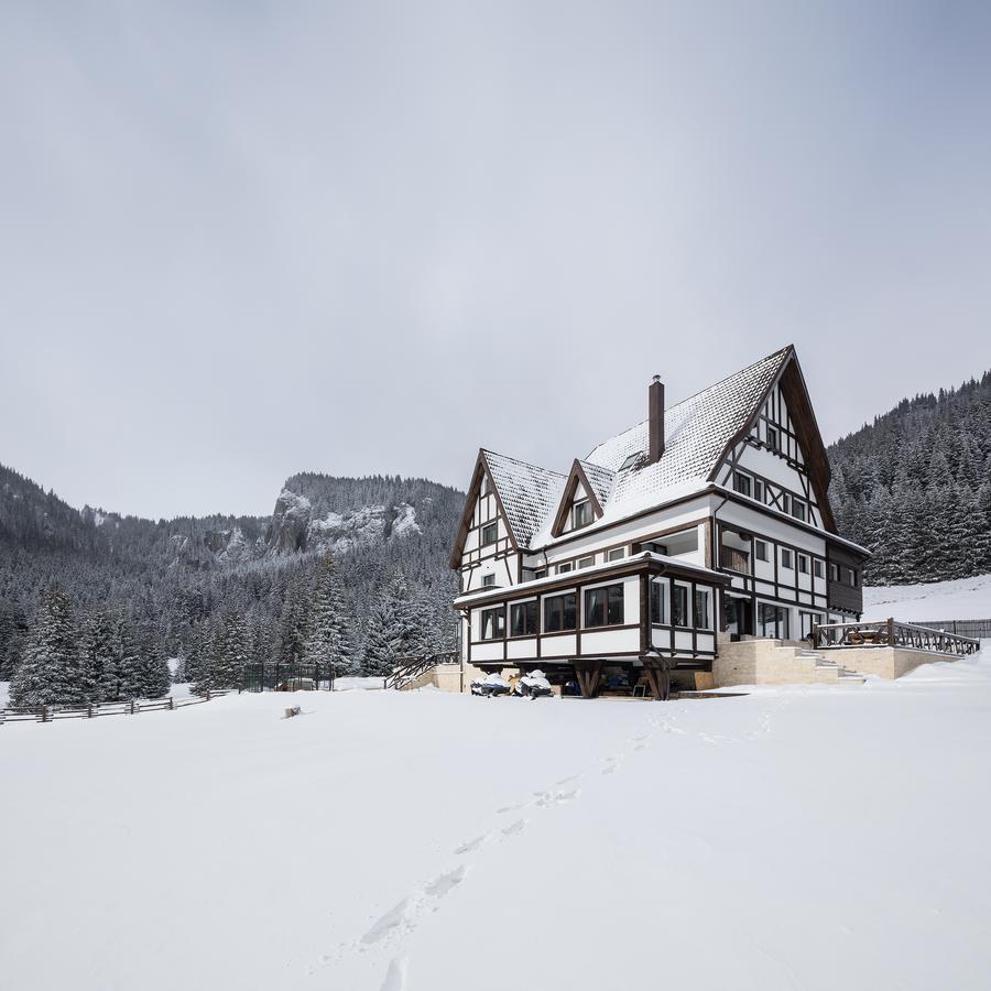 Chalet Alpina Moroeni Kültér fotó