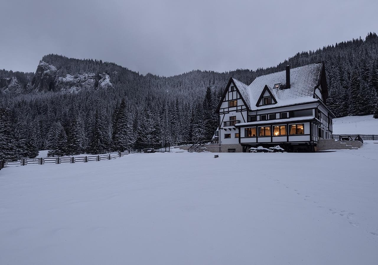 Chalet Alpina Moroeni Kültér fotó